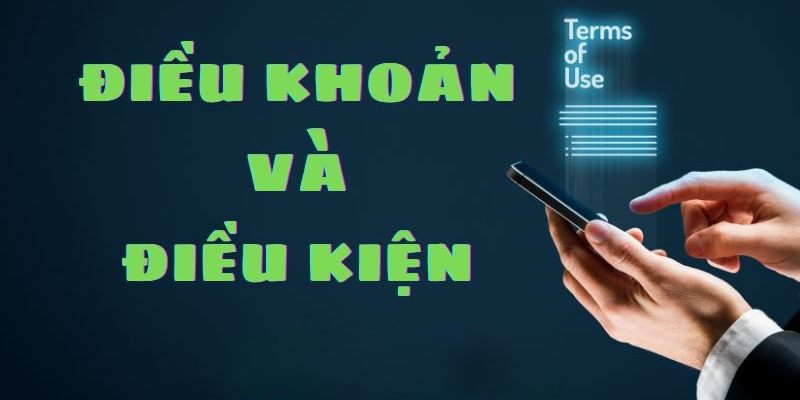 Tổng quan về điều khoản điều kiện Miso88