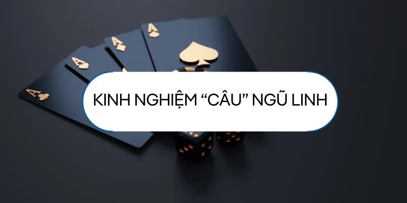 Kinh nghiệm kỹ thuật chơi bài hiệu quả với Ngũ Linh